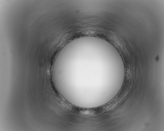 X0000091220561200708091139