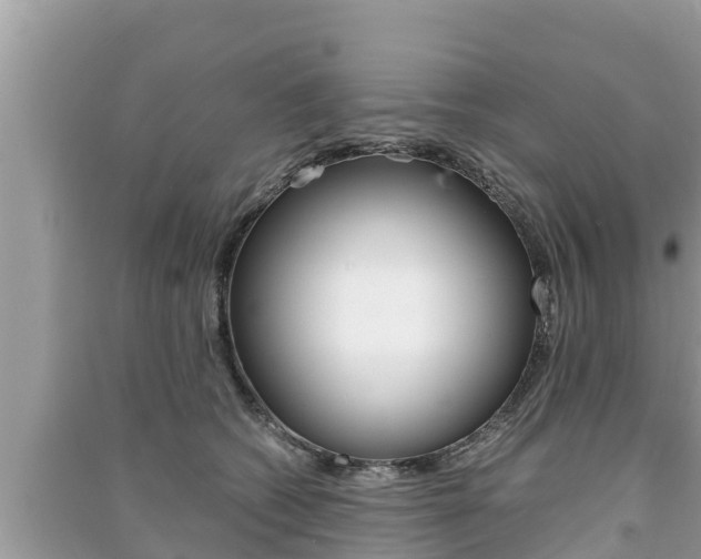 X0000091220562200708091139