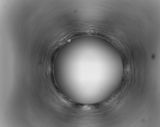 X0000091220566200708091140