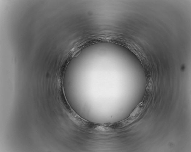 X0000091220568200708091140