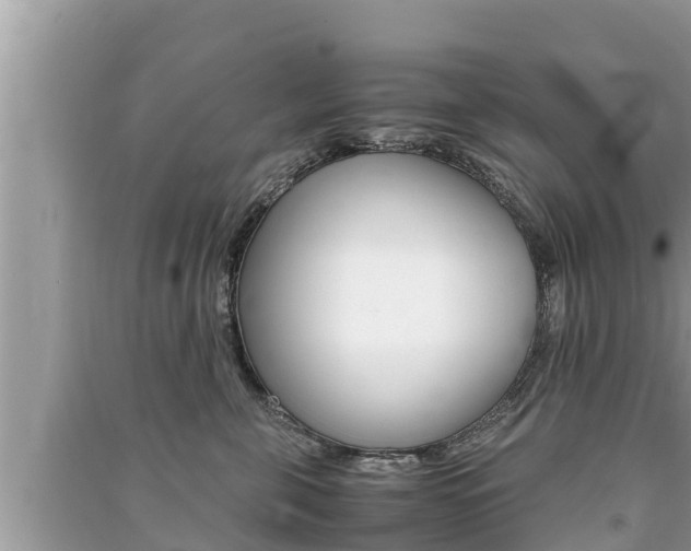 X0000091220571200708091140