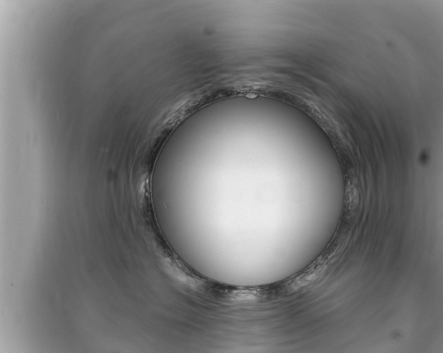 X0000091220574200708091140