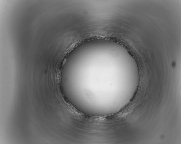 X0000091220576200708091140