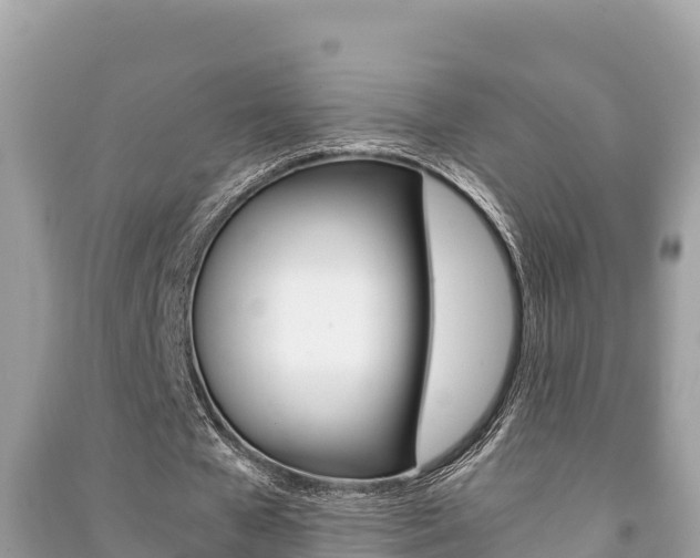 X0000091220577200708091139