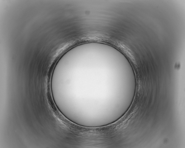X0000091220578200708091139
