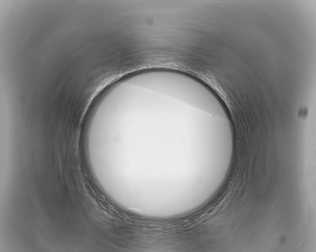 X0000091220579200708091139