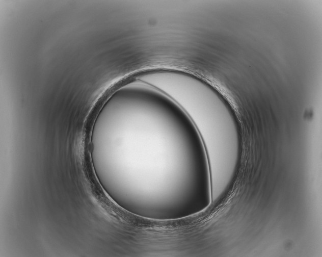 X0000091220580200708091139