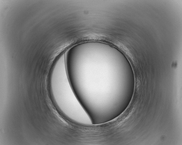 X0000091220581200708091139