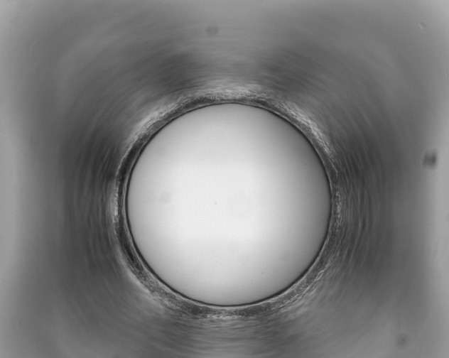 X0000091220582200708091139
