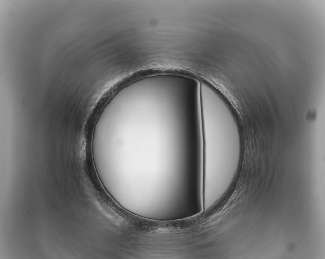X0000091220584200708091139