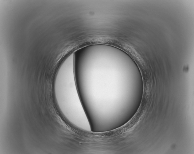 X0000091220585200708091139
