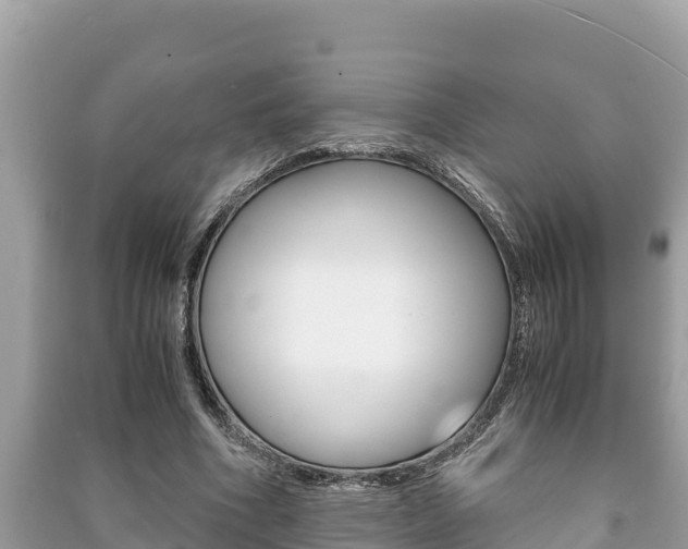 X0000091220586200708091139