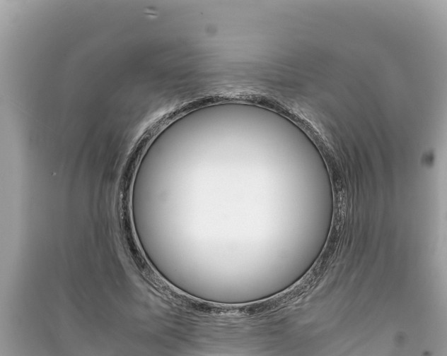 X0000091220587200708091139