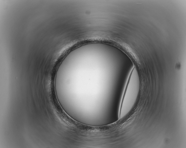 X0000091220588200708091139