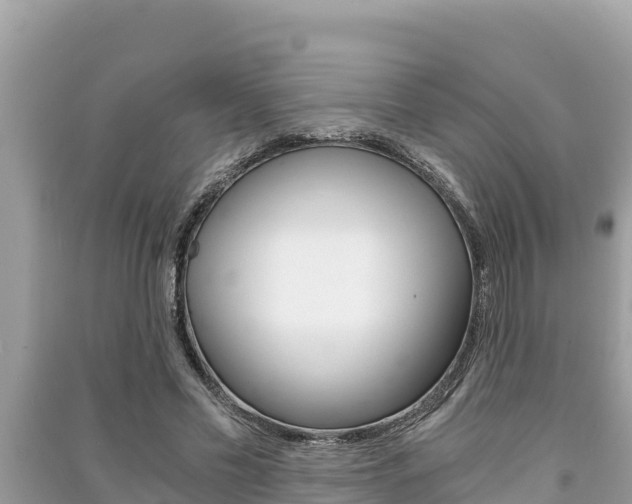 X0000091220589200708091139