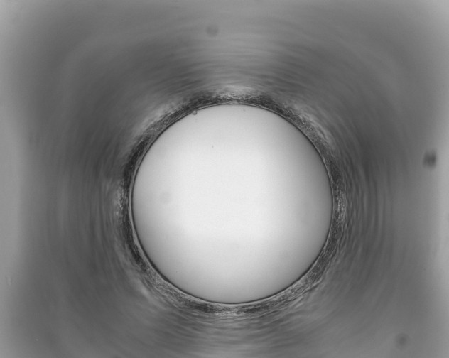 X0000091220591200708091139
