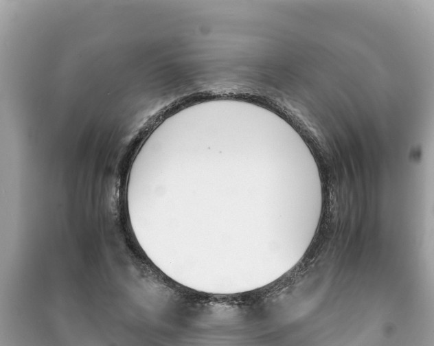 X0000091220592200708091139