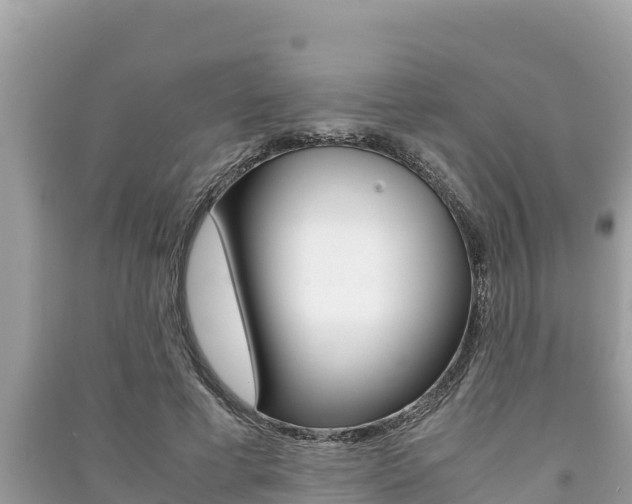 X0000091220593200708091139