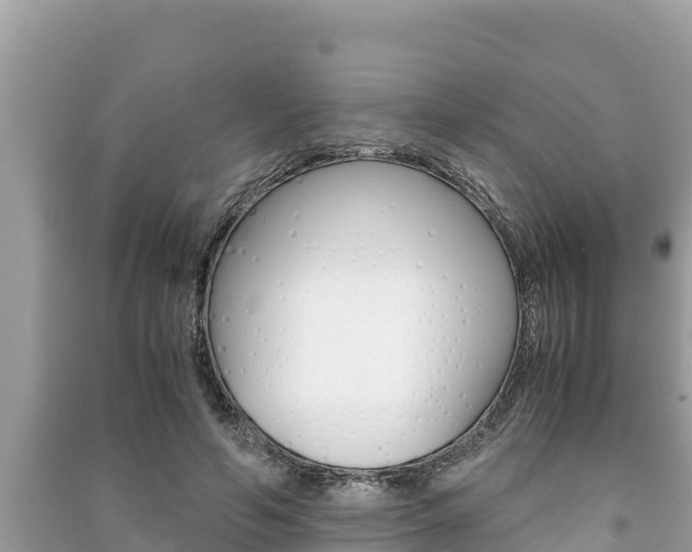 X0000091220594200708091139