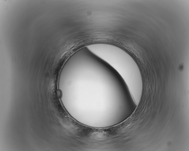 X0000091220595200708091139