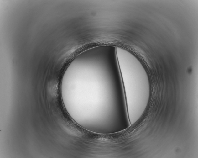 X0000091220596200708091139