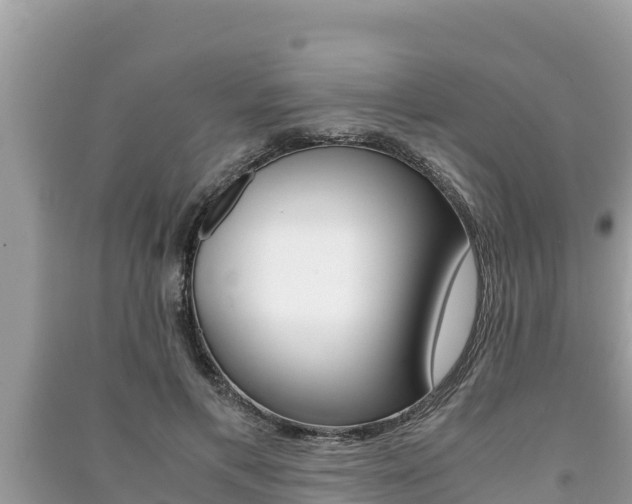 X0000091220597200708091139
