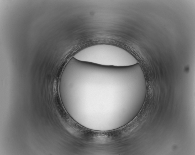 X0000091220598200708091139