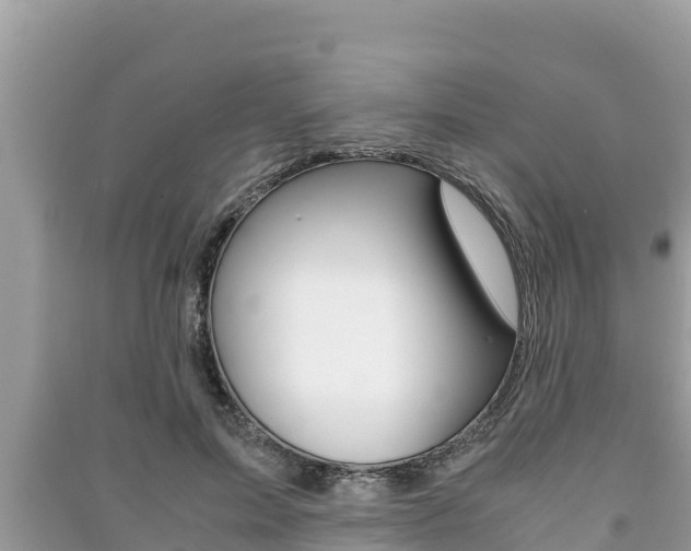 X0000091220599200708091139
