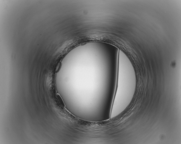 X0000091220600200708091139