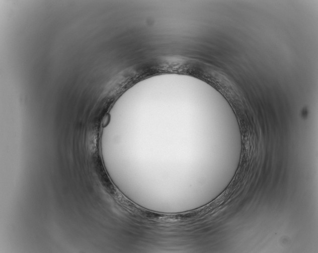 X0000091220602200708091139