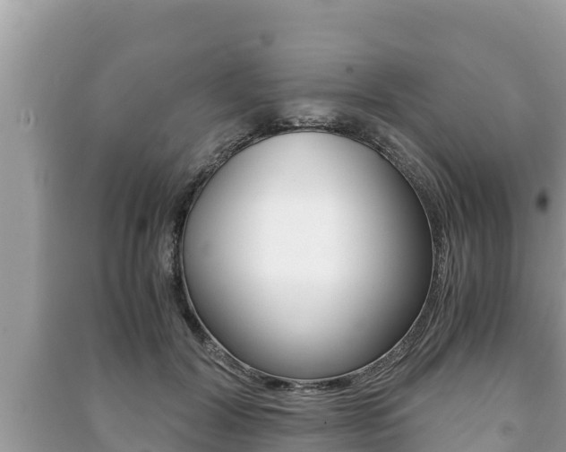X0000091220604200708091139