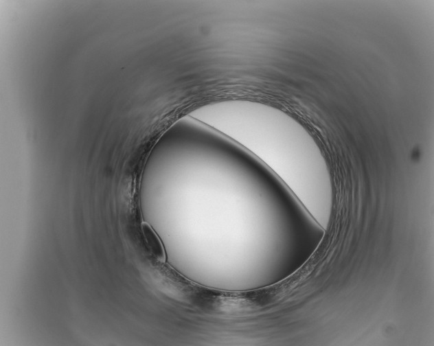 X0000091220605200708091139