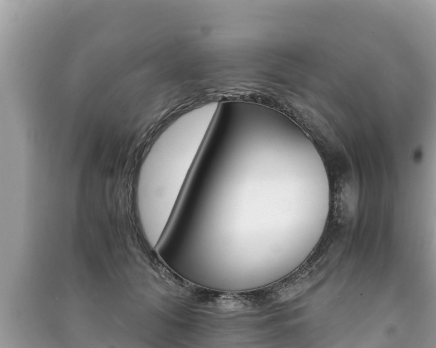 X0000091220608200708091139