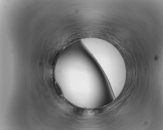X0000091220613200708091138