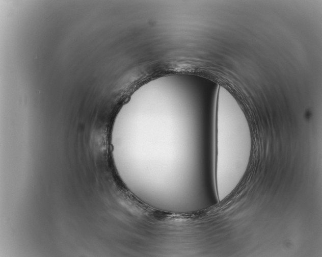 X0000091220620200708091138