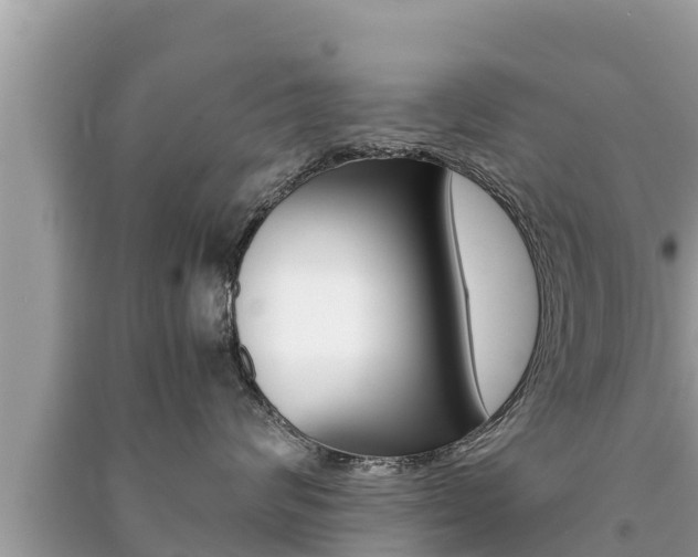 X0000091220624200708091138