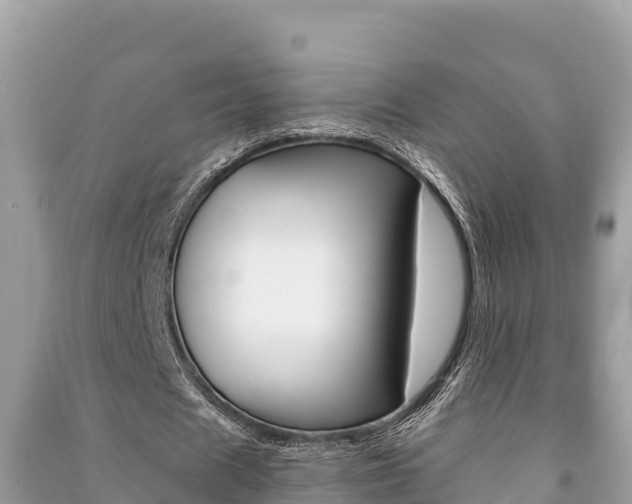 X0000091220625200708091138