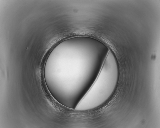 X0000091220626200708091138