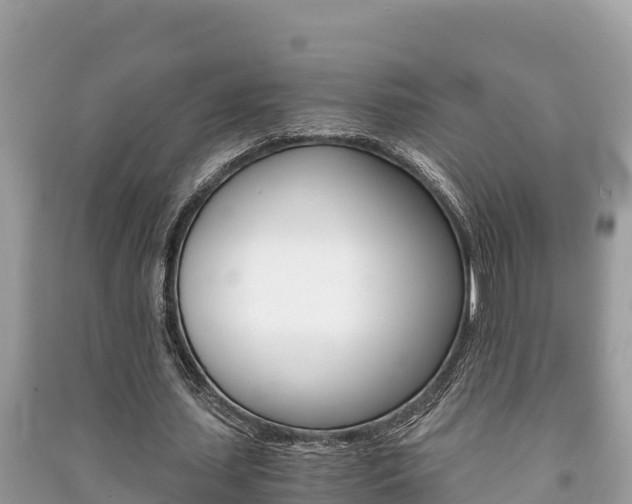 X0000091220627200708091138