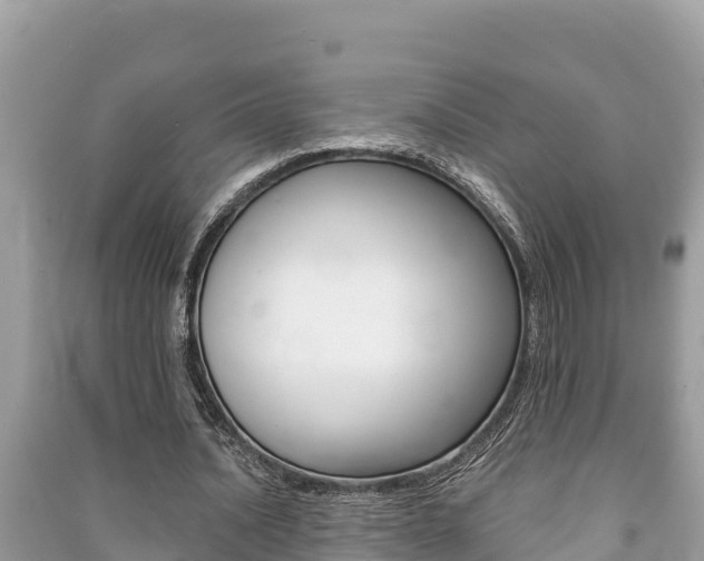 X0000091220628200708091138
