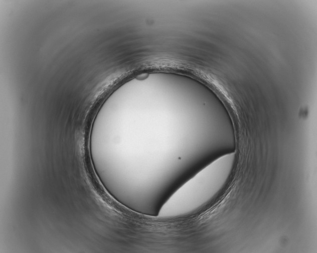 X0000091220629200708091138