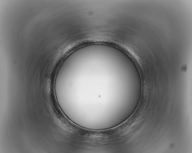 X0000091220631200708091138