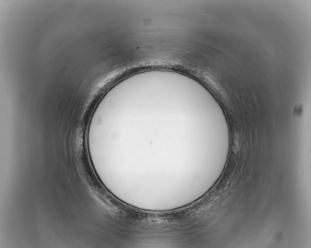 X0000091220632200708091138
