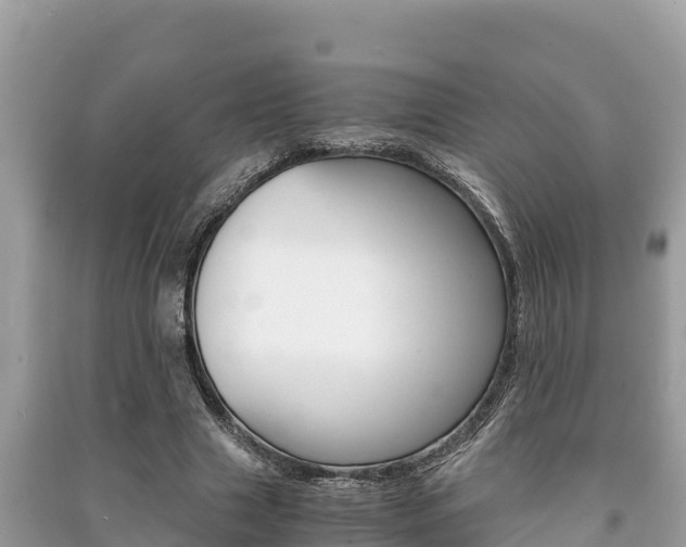 X0000091220633200708091138