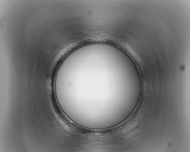 X0000091220634200708091138