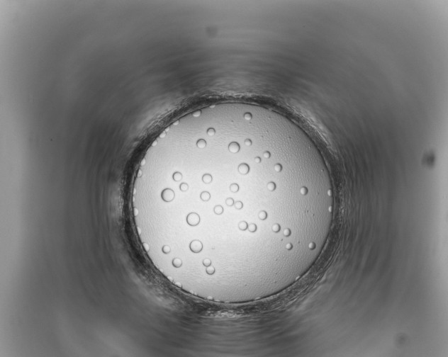 X0000091220635200708091138
