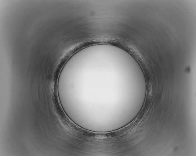X0000091220636200708091138
