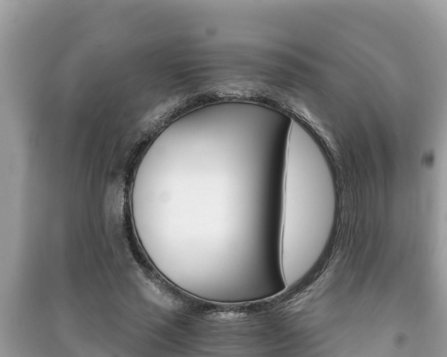 X0000091220637200708091138