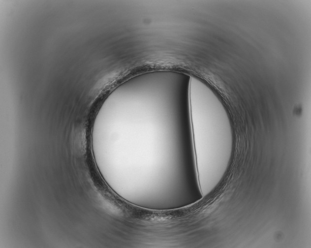 X0000091220638200708091138
