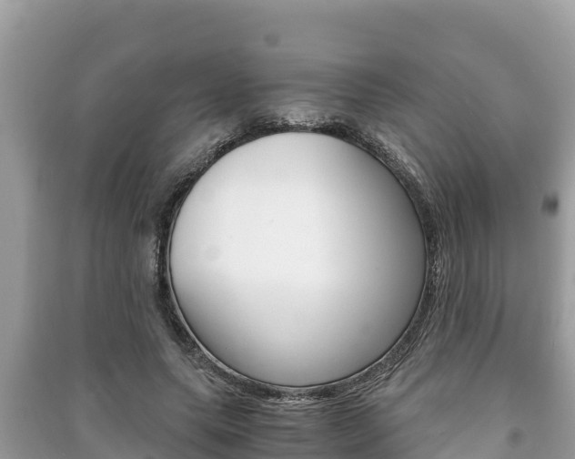 X0000091220639200708091138